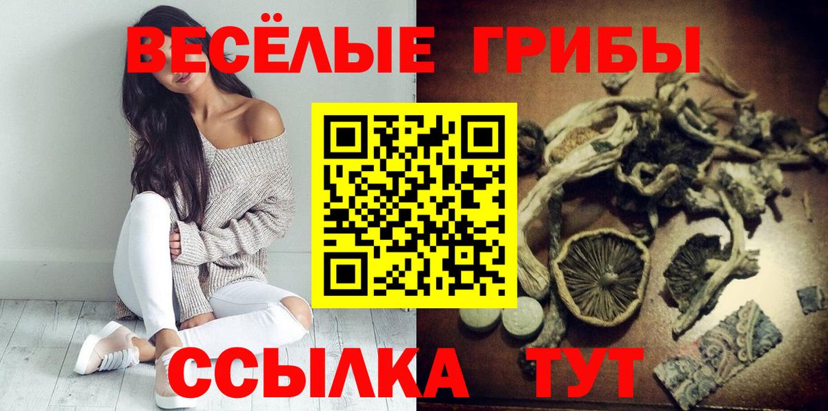 хочу наркоту  Галлюциногенные грибы мицелий  Псилоцибиновые грибы GOLDEN TEACHER  Вход с VPN  Фролово 